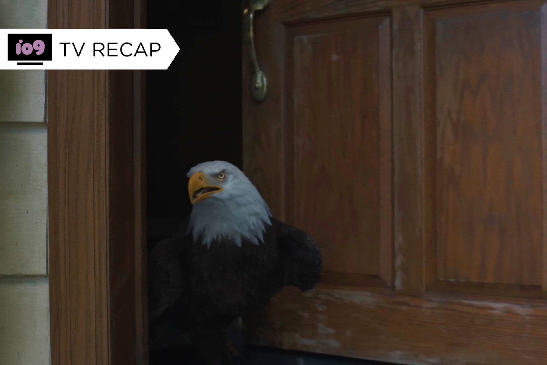 Đại bàng Eagly, biểu tượng của Peacemaker và hành trình tìm lại chính mình của anh.