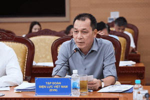 Đại diện Tập đoàn Điện lực Việt Nam (EVN) trong cuộc họp, thảo luận về tình hình kinh doanh và lợi nhuận