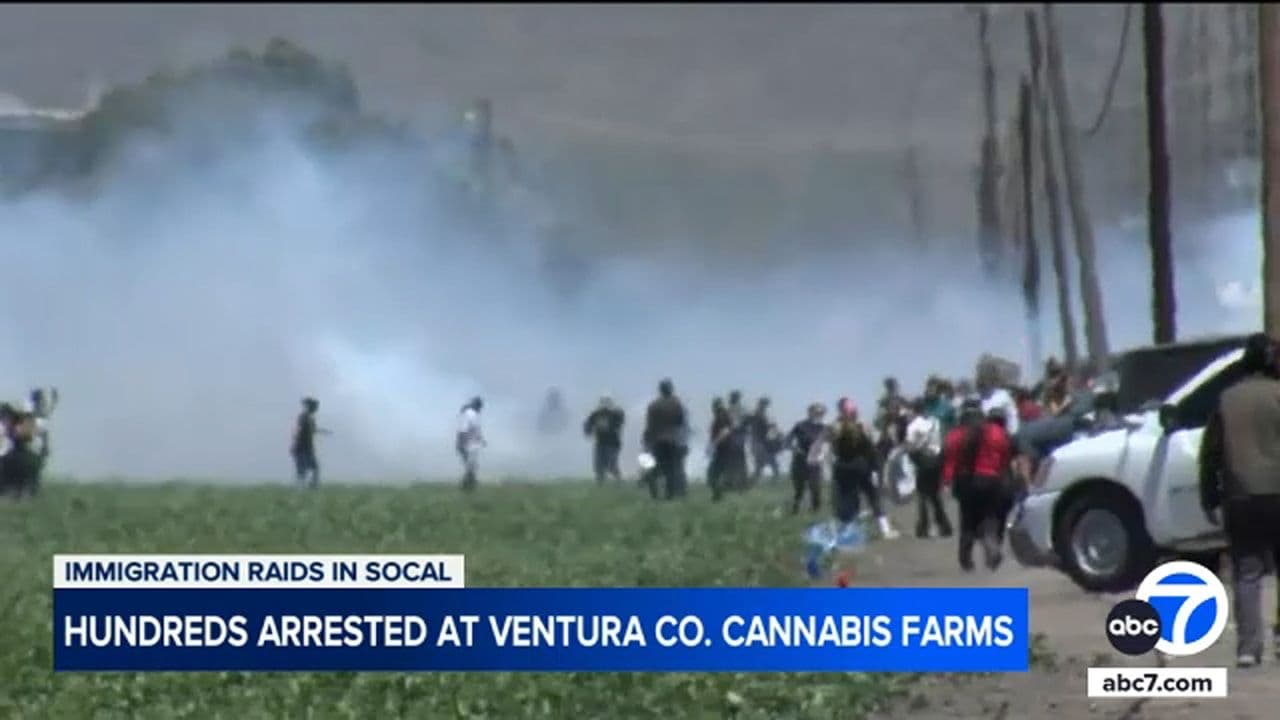Khói bao trùm một cánh đồng nơi hàng trăm người bị bắt giữ trong các cuộc đột kích ở trang trại cần sa tại Ventura County.