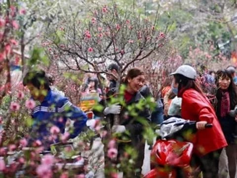 Không khí mua sắm Tết Nguyên đán tại Hà Nội, thể hiện sự chuẩn bị cho một mùa xuân an lành.