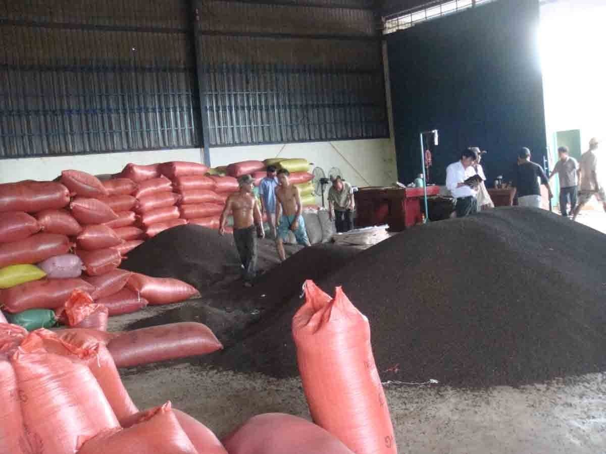 Kho chứa lớn với những bao và đống hạt hồ tiêu, thể hiện quy mô thị trường và hoạt động giao dịch.