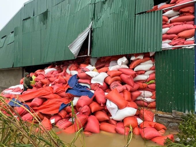 Kho lúa bị đổ sập, hàng ngàn bao tải tràn ra, minh họa thiệt hại nặng nề về nông nghiệp sau bão Kajiki.