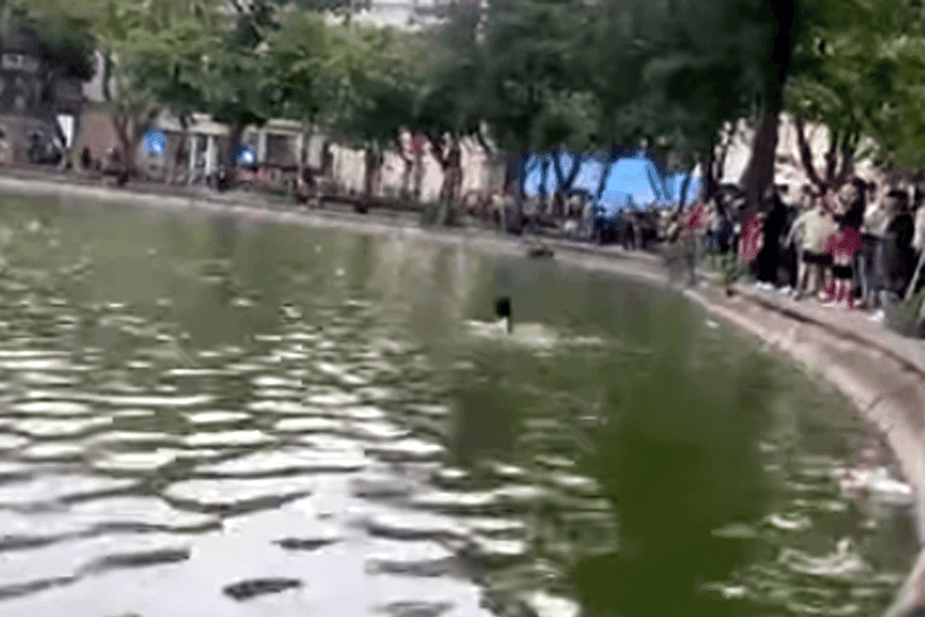 Khoảnh khắc đau lòng vụ cô gái đuối nước tại Hồ Gươm với nhiều người đứng nhìn trên bờ.