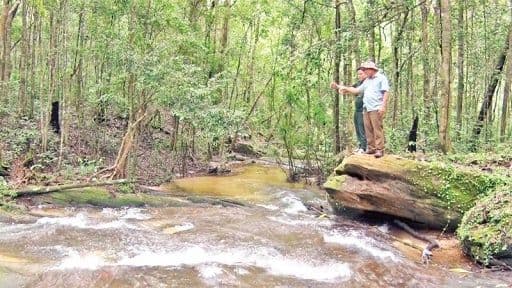 Khu rừng nguyên sinh với dòng suối, môi trường sống tự nhiên của các loài động vật hoang dã quý hiếm cần được bảo tồn.