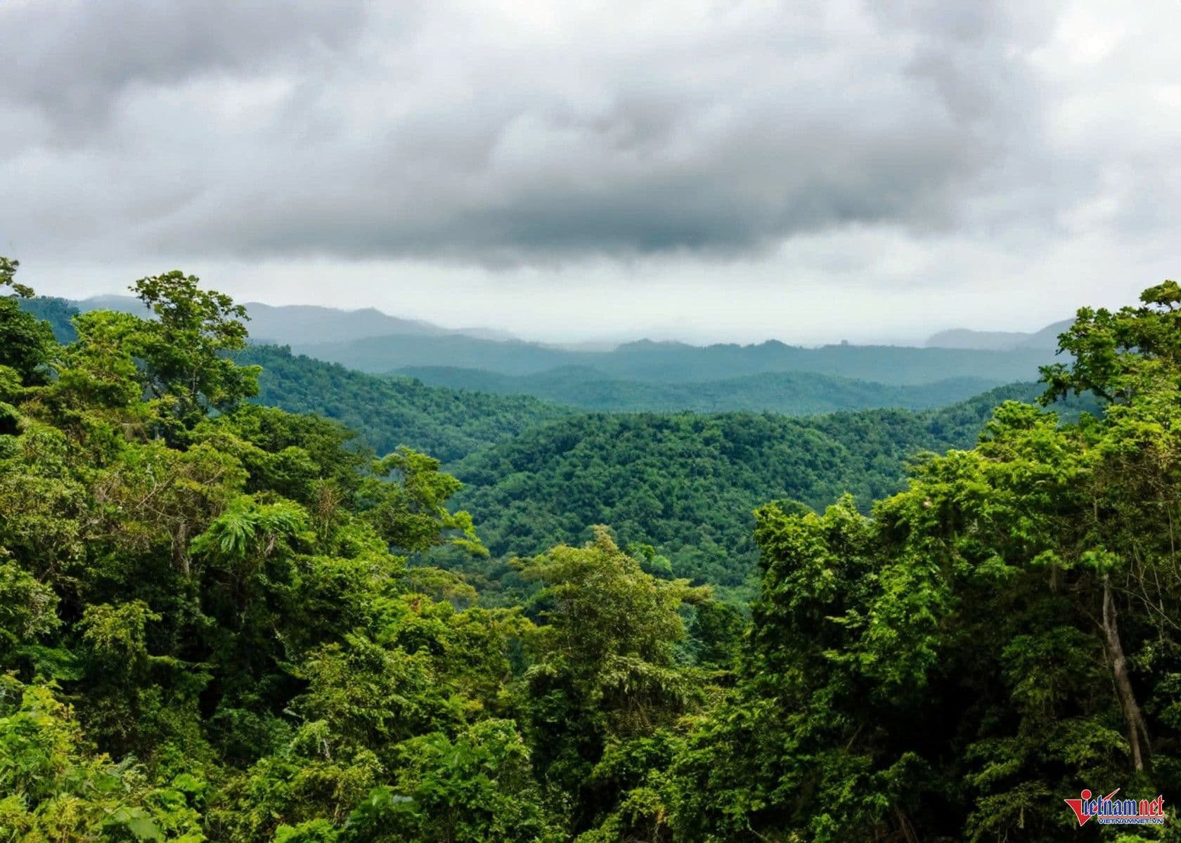Khung cảnh rừng núi Cúc Phương hùng vĩ dưới bầu trời nhiều mây, thể hiện vẻ đẹp nguyên sơ và hoang dã của vườn quốc gia.