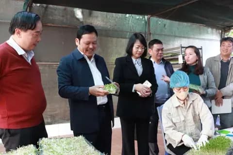 Kiểm tra an toàn thực phẩm, ưu tiên giá trị thực và chất lượng sản phẩm cho Tết.