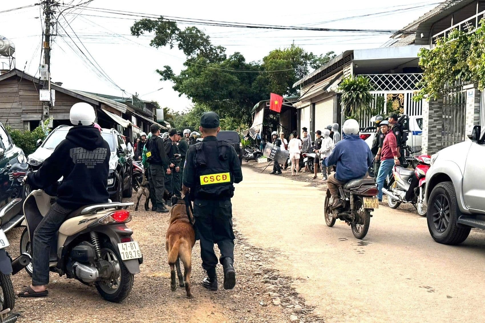 Lực lượng công an và chó nghiệp vụ tại hiện trường vụ án mạng kinh hoàng ở hẻm nhỏ Đắk Lắk.