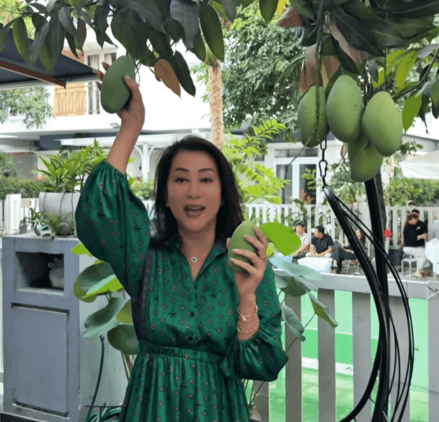 MC Nguyễn Cao Kỳ Duyên hái xoài tại nhà ca sĩ Mạnh Cương, thể hiện sự gần gũi và chân thành.
