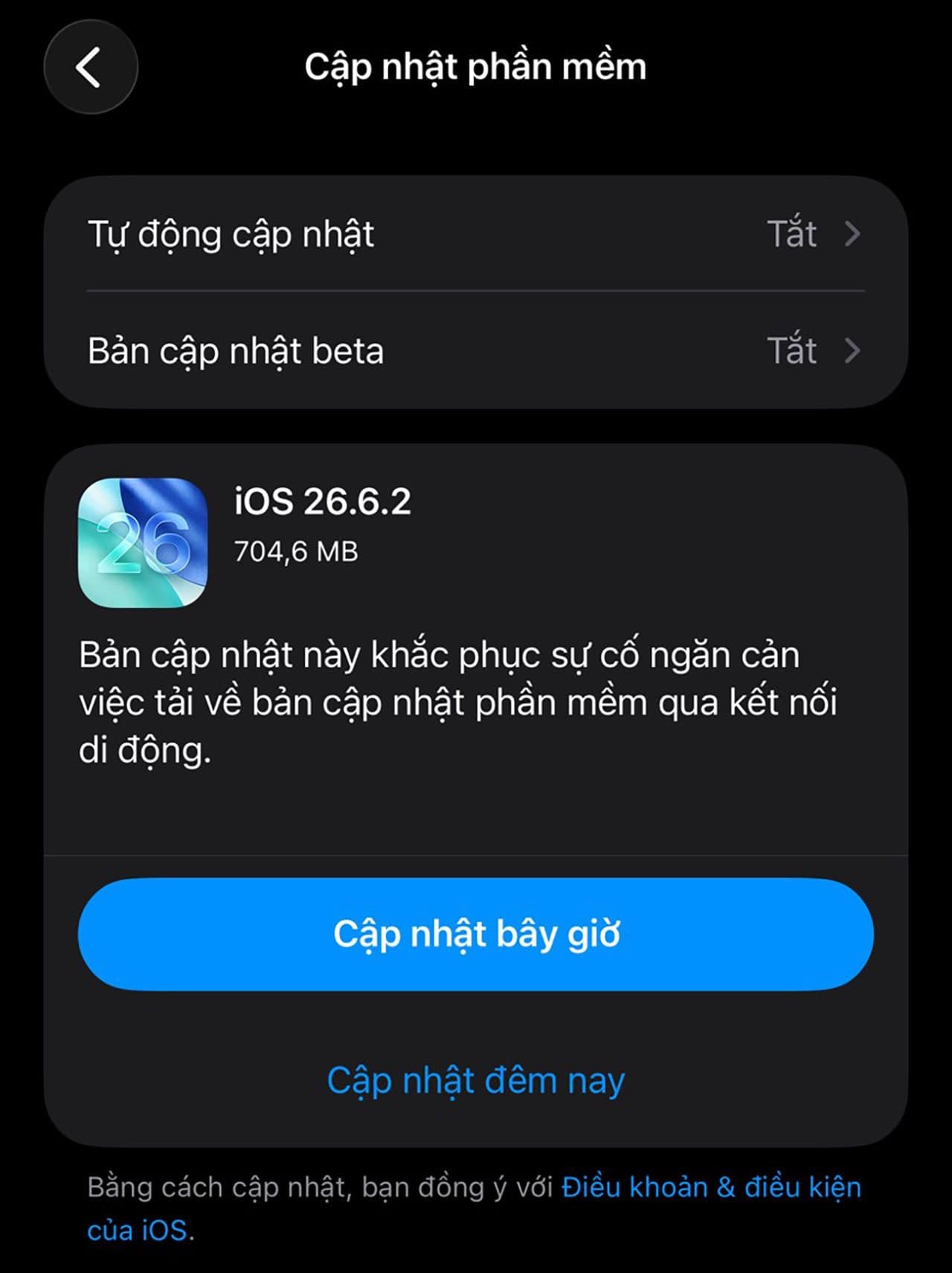 Màn hình cập nhật phần mềm iOS 26.6.2 trên iPhone, hiển thị thông báo sửa lỗi tải qua mạng di động.