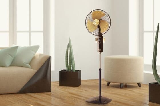 Một chiếc quạt cây trong nhà, biểu tượng cho các giải pháp thích nghi bền vững của cộng đồng trước thời tiết khắc nghiệt.