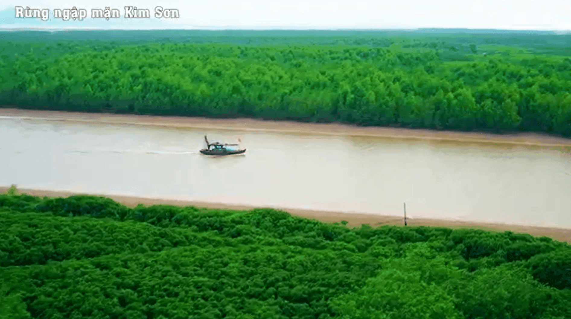 Một chiếc thuyền nhỏ trên dòng sông êm đềm giữa rừng ngập mặn, tượng trưng cho sự bình yên và thực hành sống tỉnh thức để tìm lại nhịp đập của chính mình.