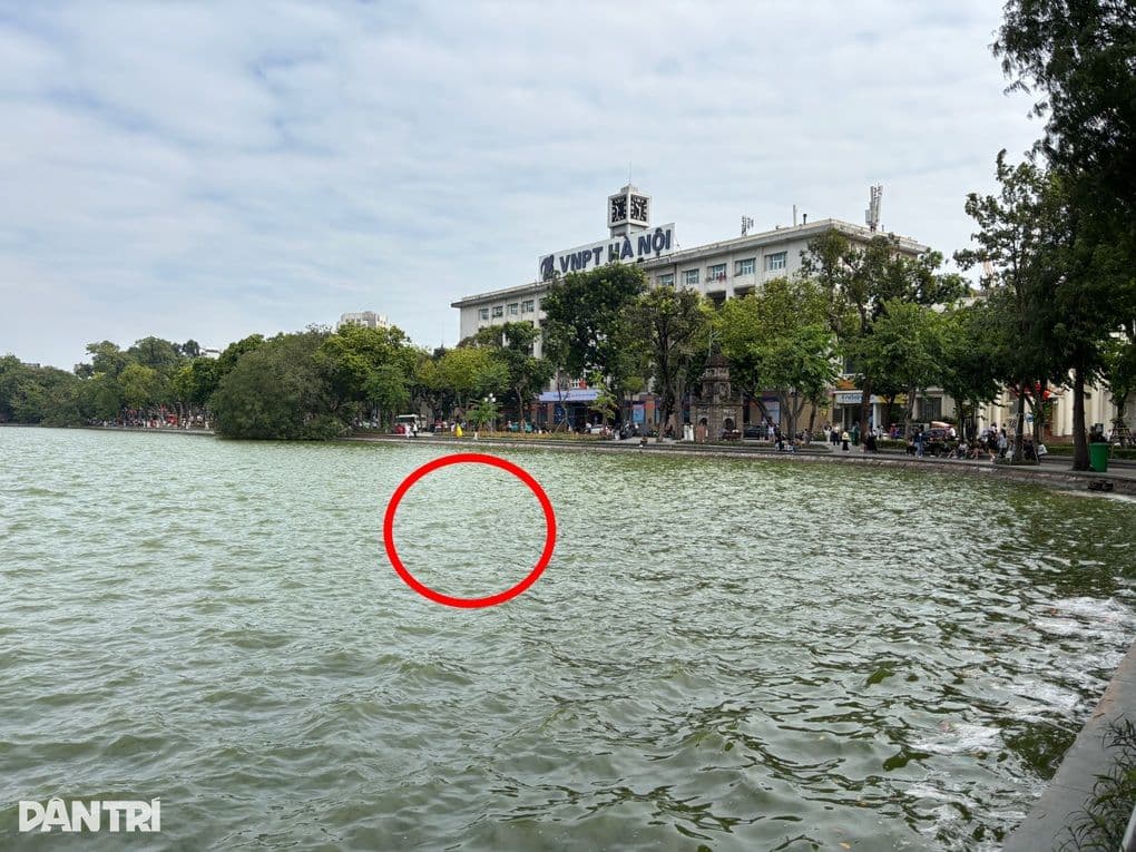 Mặt hồ Gươm phẳng lặng với vòng tròn đỏ đánh dấu khu vực xảy ra vụ việc đau lòng, phía xa là tòa nhà VNPT Hà Nội.