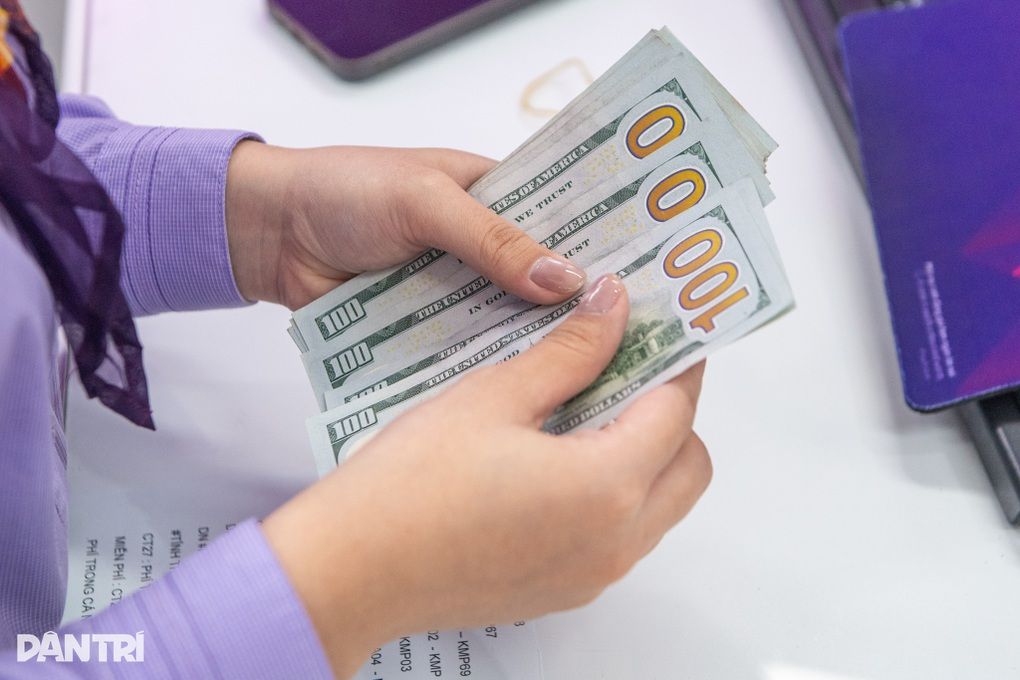Một người đang đếm những tờ đô la Mỹ, tượng trưng cho sự biến động của đồng bạc xanh và tác động đến tỷ giá hối đoái.