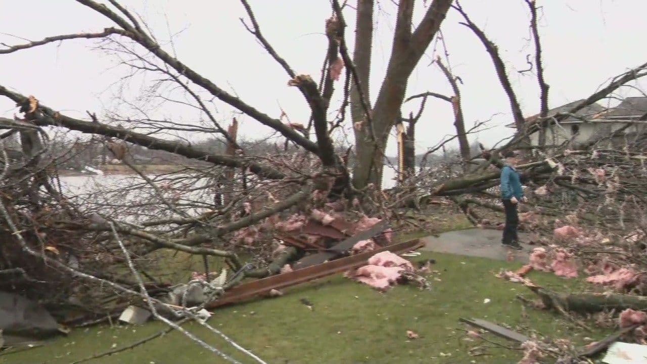 Một người đứng giữa cây cối đổ nát và mảnh vỡ sau lốc xoáy, cho thấy hậu quả trực tiếp của thảm họa.