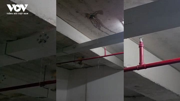 Nước rò rỉ từ trần hầm sau mưa lớn, thể hiện rủi ro tiềm tàng từ thời tiết cực đoan.