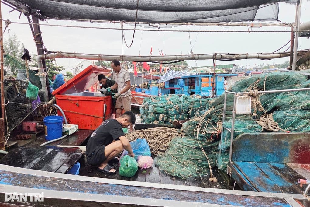 Ngư dân Hải Phòng chủ động chằng chống tàu thuyền và ngư cụ, chuẩn bị ứng phó với bão số 4.