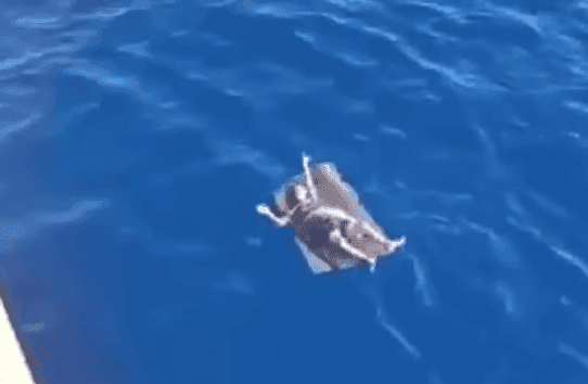 Ngư dân Trần Ngọc Thạch bám tấm xốp lênh đênh giữa biển sâu trong 24 giờ sinh tử