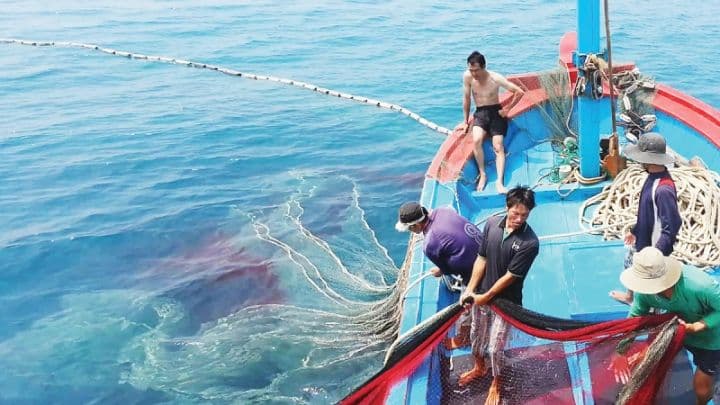 Ngư dân Việt Nam đánh bắt hải sản trên biển