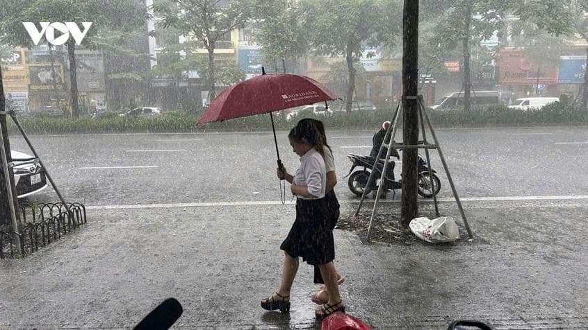 Người dân đi bộ dưới mưa với ô dù trên đường phố, minh họa cách dự báo thời tiết ảnh hưởng đến quyết định hàng ngày.