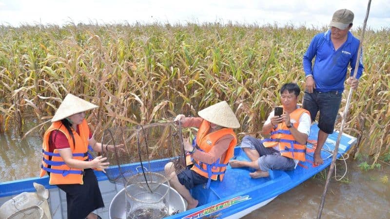 Người dân đi thuyền qua cánh đồng ngô bị ngập lụt, minh họa tác động của mưa lớn bất thường đến nông nghiệp và đời sống.