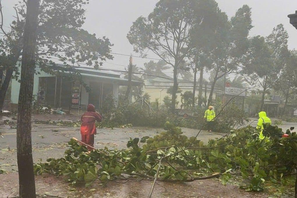 Người dân miền Trung dọn dẹp cây đổ và đường sá sau bão, thể hiện sự kiên cường và nỗ lực tái thiết.