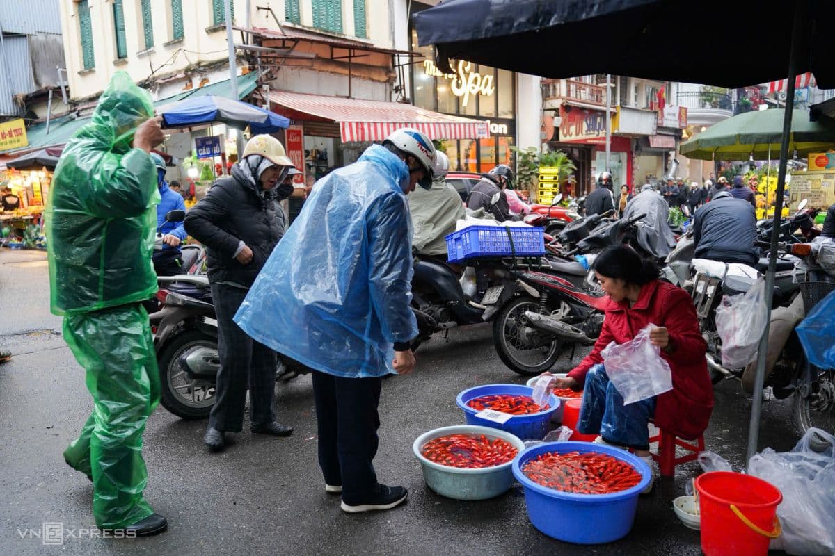 Người dân mua cá chép sống để phóng sinh, tiễn Ông Táo về trời theo phong tục truyền thống