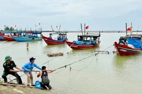 Người dân và tàu thuyền chuẩn bị ứng phó bão, phản ánh mối lo ngại về thiên tai ảnh hưởng đến vụ mùa cà phê.
