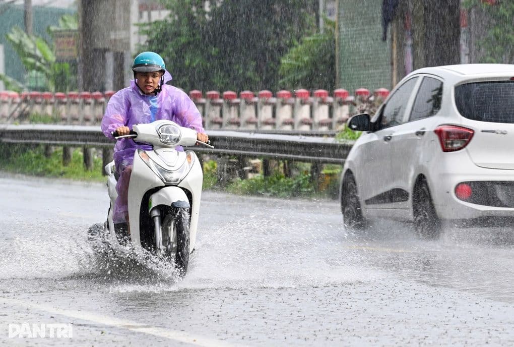 Người đi xe máy trong mưa lớn trên đường, minh họa cho dự báo thời tiết hàng ngày.