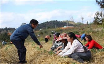 Người nông dân làm việc trên cánh đồng, tượng trưng cho nông sản bị ùn tắc tại cửa khẩu.