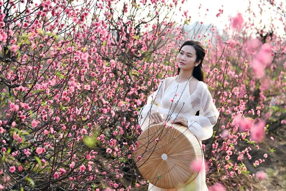 Người phụ nữ trong vườn đào nở rộ, tượng trưng cho không khí Tết Nguyên đán ấm áp và mùa xuân sắp đến.
