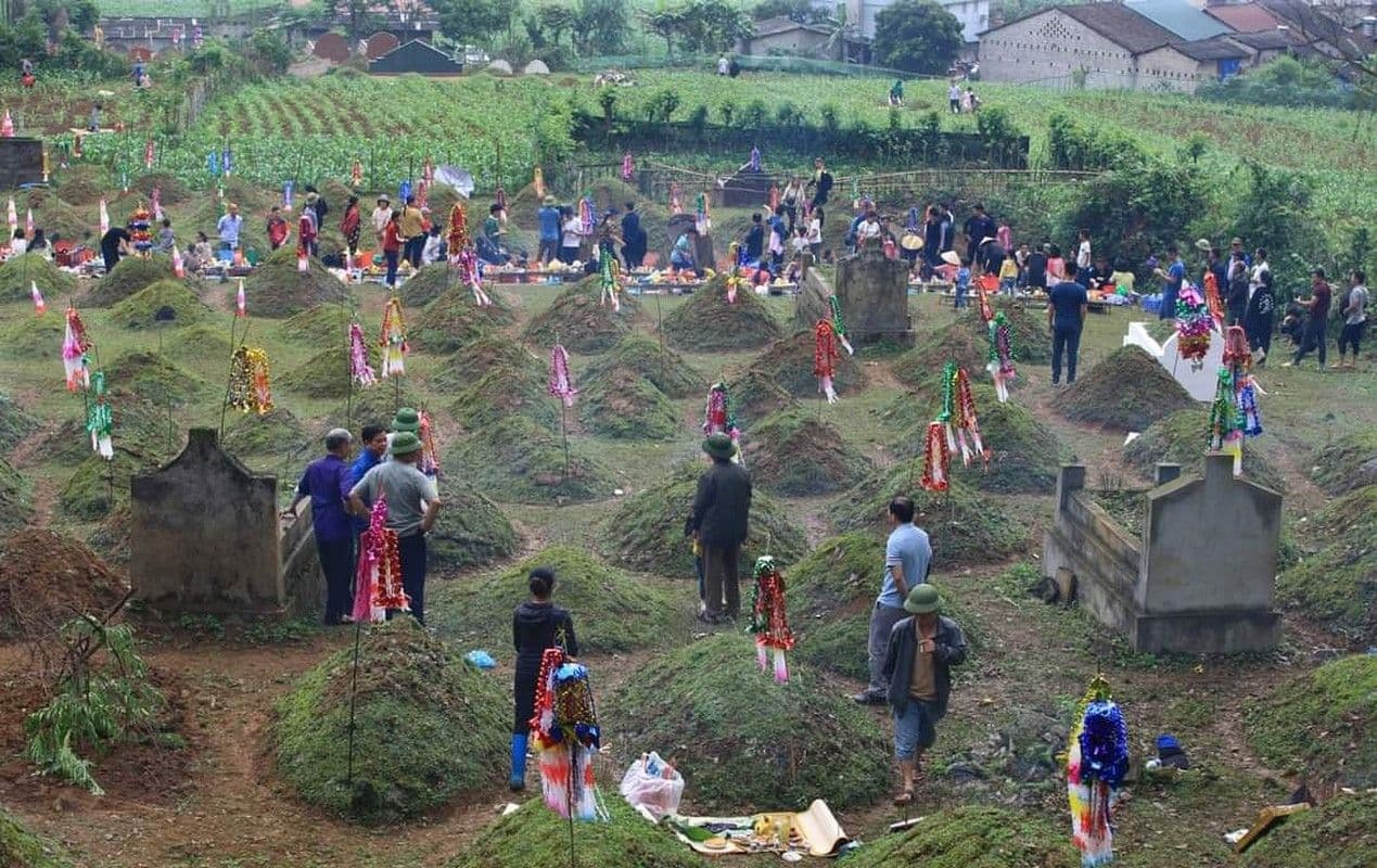 Nhiều người dân Việt Nam cùng nhau tảo mộ, dọn dẹp và sửa sang phần mộ tổ tiên trong ngày Tết Thanh Minh, truyền dạy lòng hiếu kính cho thế hệ trẻ.