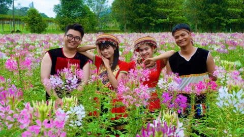 Nhóm người trẻ đang chụp ảnh trong vườn hoa hồng ri rực rỡ, tượng trưng cho những món quà hoa trong ngày lễ.