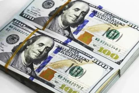 Những cọc tiền đô la Mỹ, tượng trưng cho doanh thu xuất khẩu và thu nhập của người nông dân và doanh nghiệp hồ tiêu.