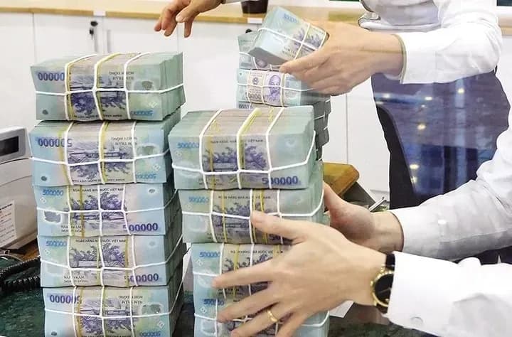 Những cọc tiền đồng Việt Nam tượng trưng cho hàng nghìn tỷ đồng tài sản bị mất do biến cố doanh nghiệp