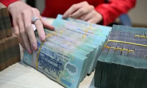Những cọc tiền Việt Nam Đồng, tượng trưng cho các chính sách tài chính và trợ cấp ảnh hưởng trực tiếp đến đời sống.