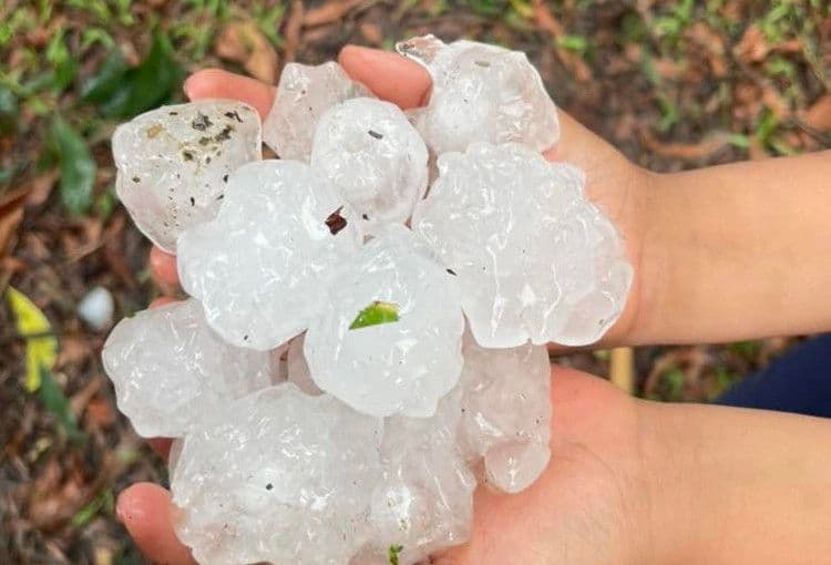Những viên mưa đá lớn bằng nắm tay được giữ trong lòng bàn tay, minh họa hiện tượng thời tiết cực đoan.