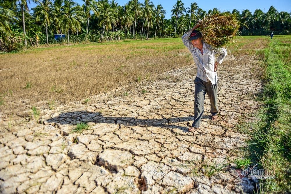 Nông dân trên cánh đồng khô nứt nẻ do hạn hán, thể hiện tác động của biến đổi khí hậu lên nông nghiệp.
