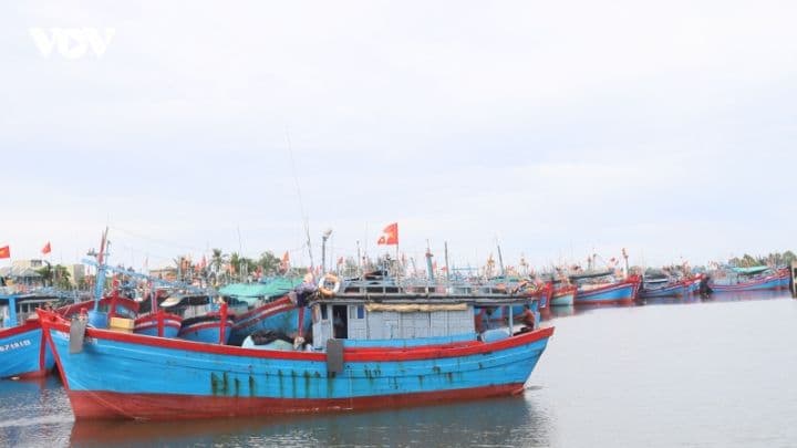 Đoàn tàu cá Việt Nam neo đậu tại cảng, thể hiện bản sắc nghề cá truyền thống và hiện đại