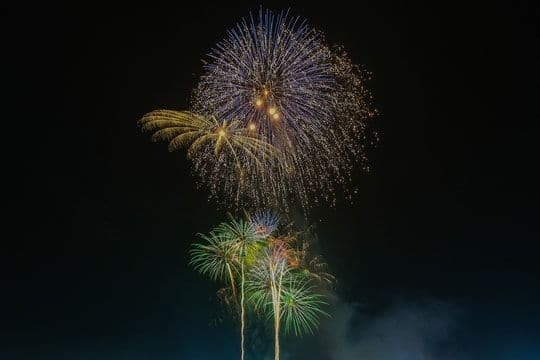 Pháo hoa rực rỡ trên bầu trời đêm, tượng trưng cho khởi đầu năm mới và những kỳ vọng.