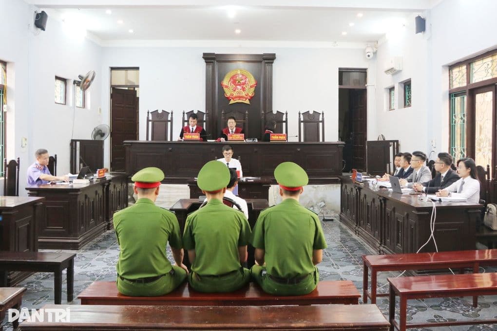 Quang cảnh phiên tòa xét xử vụ án gà lôi trắng, nơi các quy định pháp luật được áp dụng.