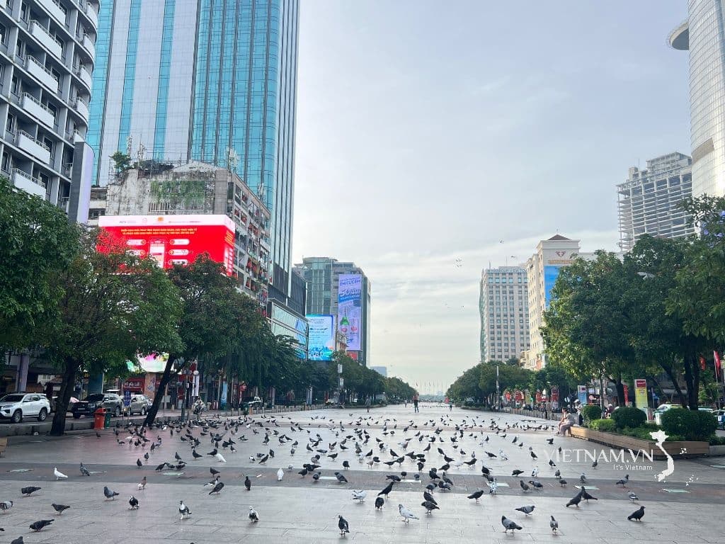 Quảng trường hoặc đường phố rộng lớn tại Hà Nội với nhiều chim bồ câu, thể hiện không gian đô thị đông đúc