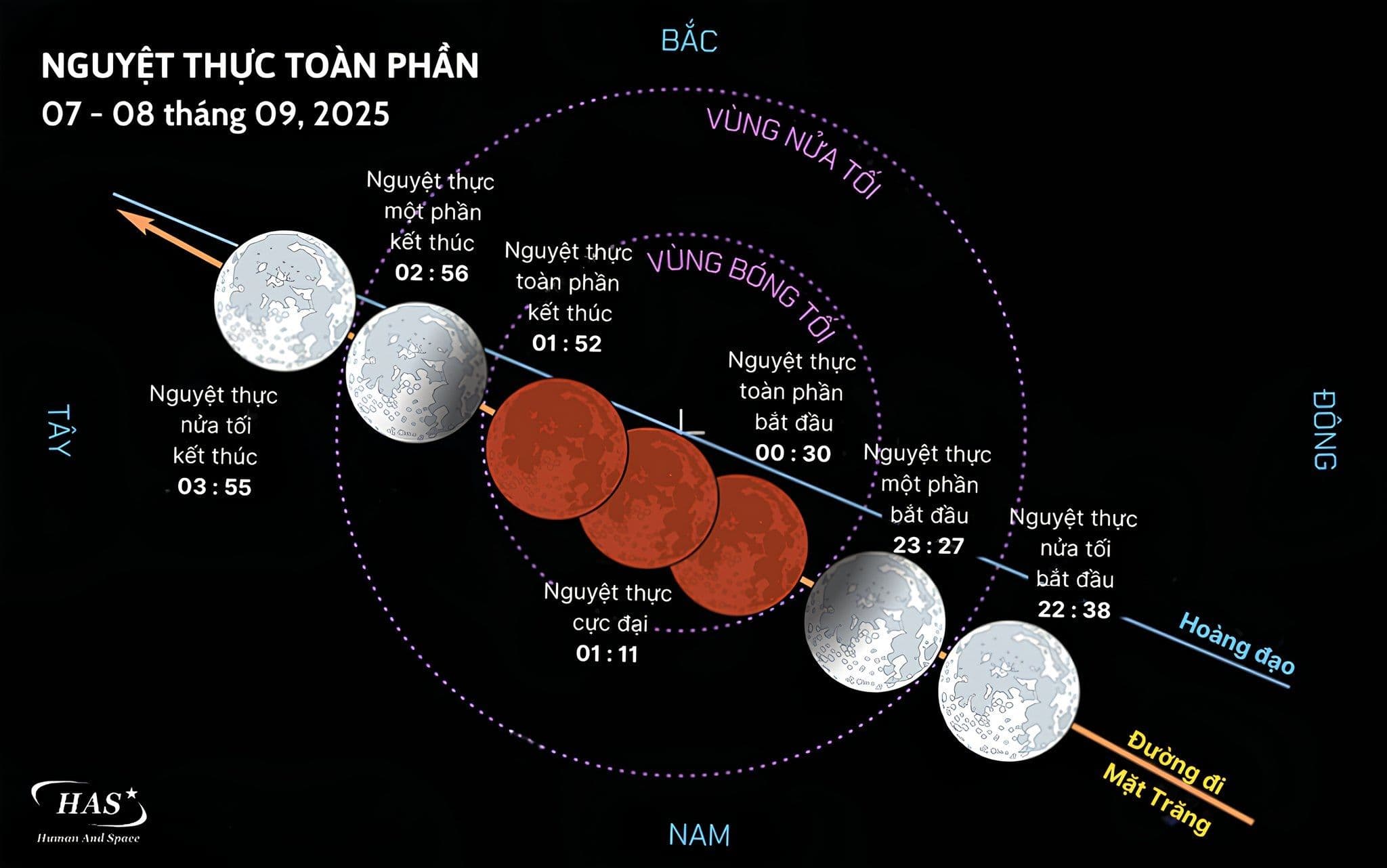 Sơ đồ chi tiết các giai đoạn và thời gian quan sát nguyệt thực toàn phần tại Việt Nam.