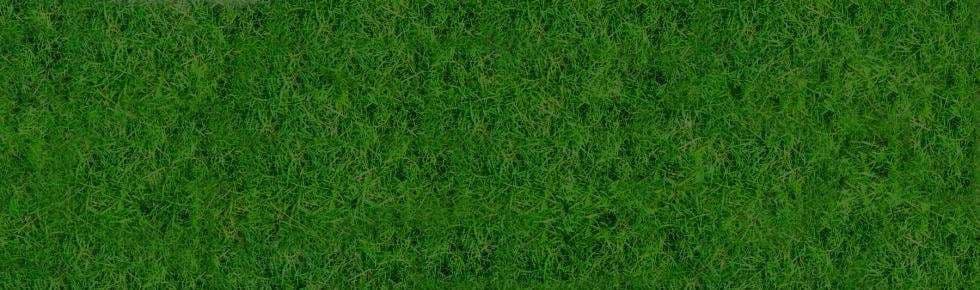 Sân cỏ xanh mướt của một sân vận động bóng đá, tượng trưng cho lợi thế sân nhà của Elche.