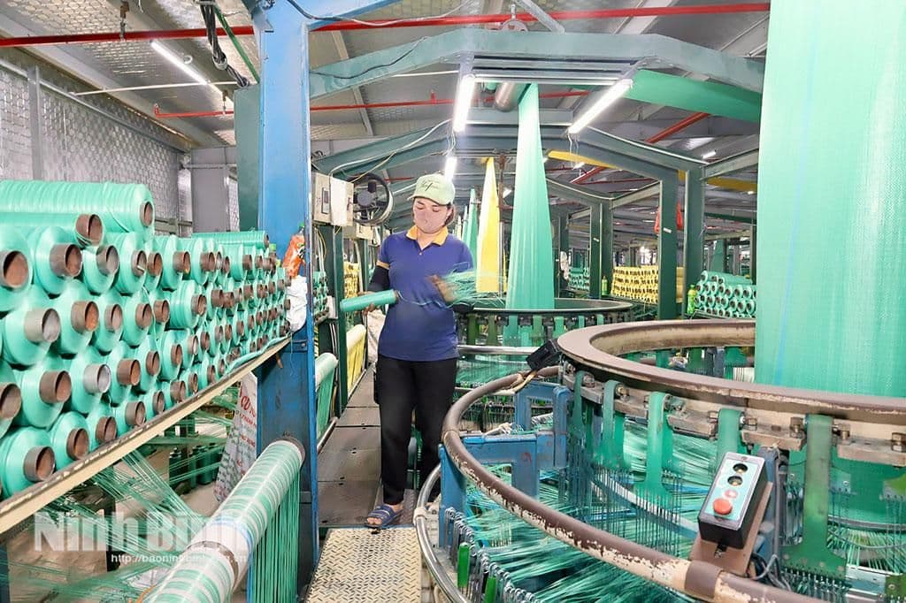 Sản xuất bao bì tại nhà máy, minh họa cho sự phát triển công nghiệp và kinh tế bền vững của Ninh Bình.