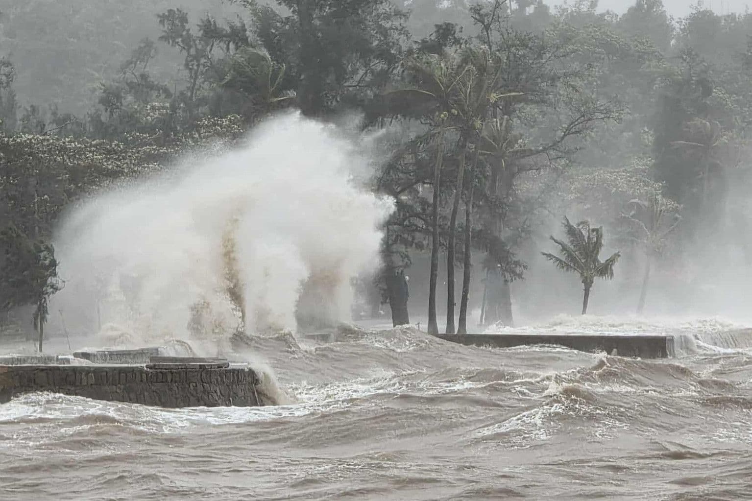 Sóng lớn dữ dội đánh vào bờ biển với cây cọ trong cơn bão, minh họa tác động của El Nino và biến đổi khí hậu.