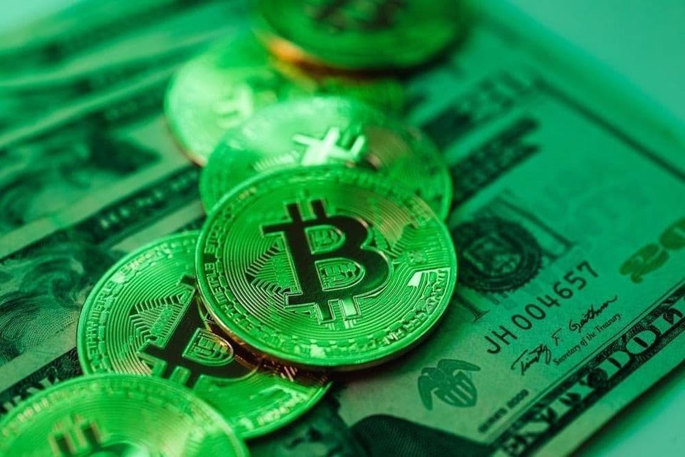 Tiền điện tử (Bitcoin) thể hiện dòng tiền phi pháp trong mạng lưới buôn bán động vật hoang dã xuyên quốc gia.