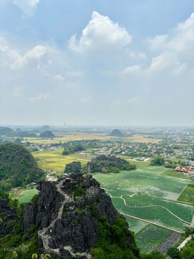 Toàn cảnh Tam Cốc nhìn từ đỉnh Hang Múa với những cánh đồng lúa xanh mướt và núi đá vôi trùng điệp.