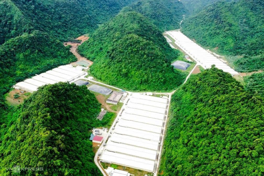 Toàn cảnh trang trại lợn Dabaco Thanh Hóa, nơi xảy ra vụ tai nạn lao động nghiêm trọng.