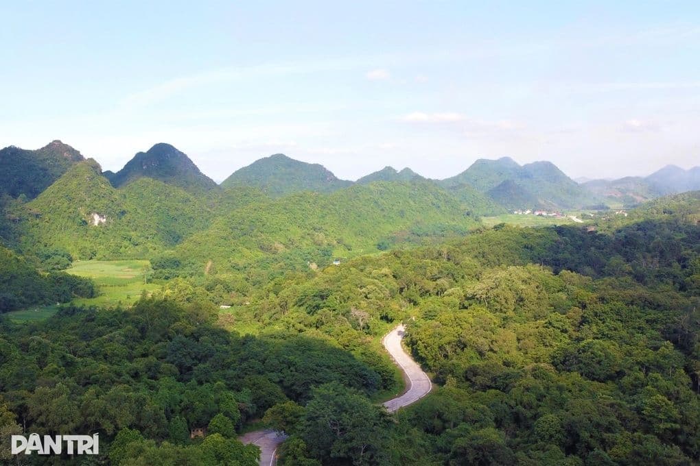 Toàn cảnh Vườn quốc gia Cúc Phương với rừng núi xanh tươi và con đường uốn lượn, thể hiện vẻ đẹp hùng vĩ và tĩnh lặng của thiên nhiên.