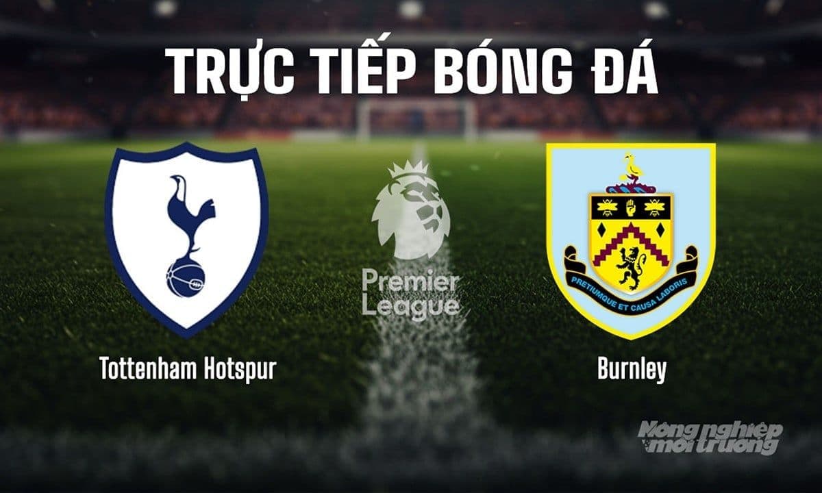 Trực tiếp bóng đá Ngoại hạng Anh giữa Tottenham và Burnley